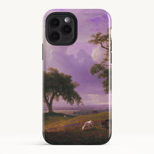 iPhone 11 Pro / Tough Case