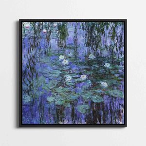 Blue Water Lilies
