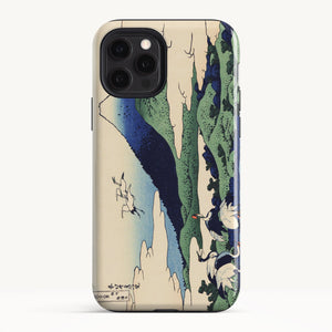 iPhone 12 Pro / Tough Case