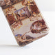 Sistine Chapel