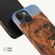 Portrait of a Lion