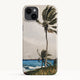 iPhone 15 Plus / Slim Case